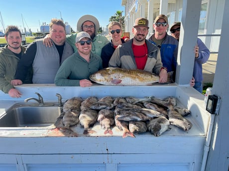 Redfish, Sheepshead Fishing in Galveston, Texas