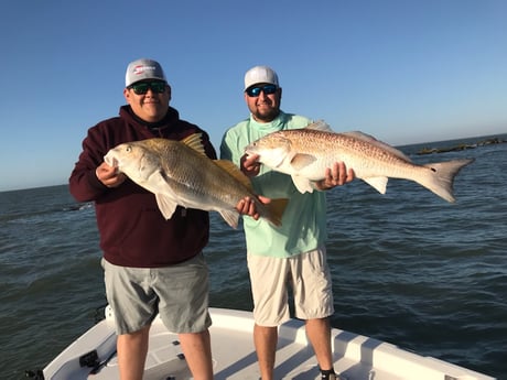 Black Drum fishing in League City, Texas