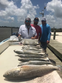 Redfish, Speckled Trout / Spotted Seatrout fishing in Galveston, Texas