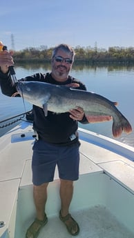 Blue Catfish Fishing in San Antonio, Texas