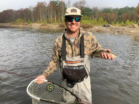 Rainbow Trout Fishing in Broken Bow, Oklahoma