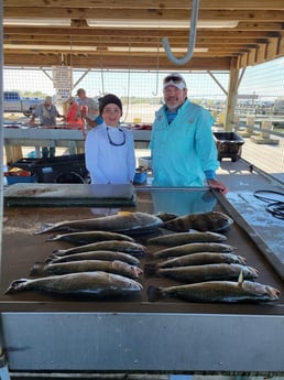 Redfish, Sheepshead, Speckled Trout / Spotted Seatrout fishing in Matagorda, Texas