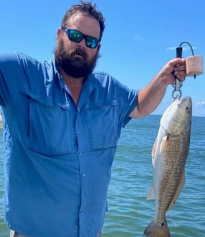 Redfish fishing in Port O&#039;Connor, Texas