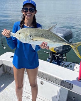 Jack Crevalle Fishing in Tampa, Florida