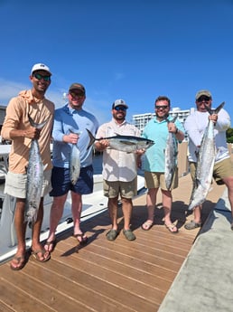 Blackfin Tuna, Kingfish Fishing in Pompano Beach, Florida