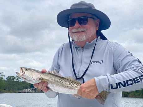 Speckled Trout / Spotted Seatrout fishing in Destin, Florida