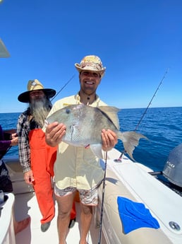 Triggerfish fishing in Pensacola, Florida