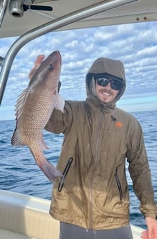 Mangrove Snapper Fishing in Destin, Florida