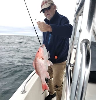 Red Snapper Fishing in Jacksonville, Florida