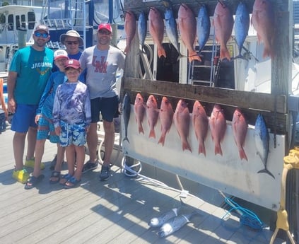 Little Tunny / False Albacore, Red Snapper fishing in Destin, Florida