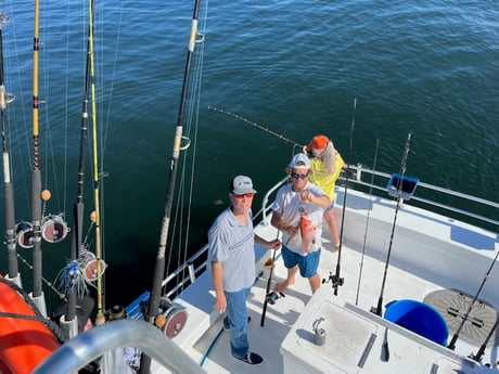 Red Snapper Fishing in Orange Beach, Alabama