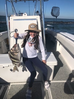 Sheepshead fishing in Galveston, Texas