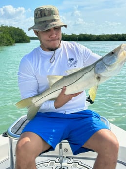 Snook Fishing in Key Largo, Florida