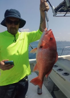 Red Snapper Fishing in Destin, Florida