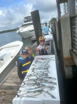 Spanish Mackerel Fishing in Wilmington, North Carolina