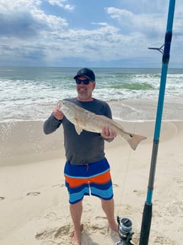 Florida Pompano, Sheepshead fishing in Pensacola, Florida