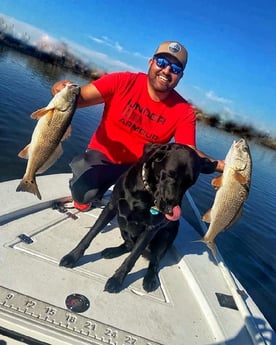 Redfish Fishing in Beaufort, North Carolina