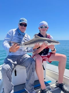 Cobia Fishing in Crystal River, Florida