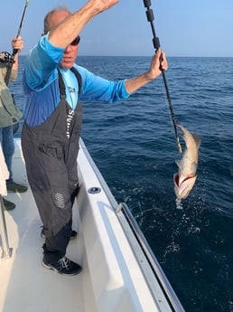 Gag Grouper Fishing in Destin, Florida