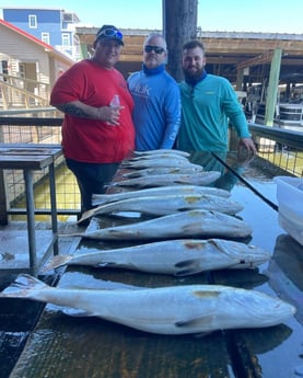 Speckled Trout / Spotted Seatrout fishing in Galveston, Texas