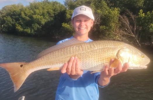 Redfish Fishing in Clearwater, Florida