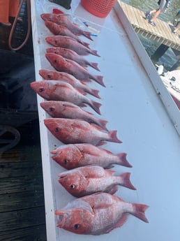 Red Snapper Fishing in Gulf Shores, Alabama