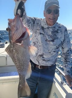 Red Grouper Fishing in Clearwater, Florida