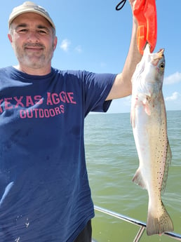 Speckled Trout / Spotted Seatrout fishing in Freeport, Texas