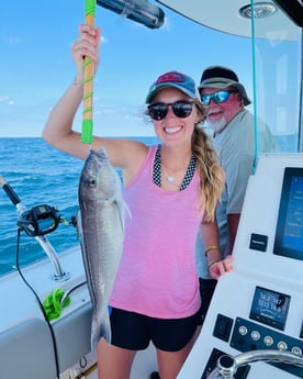 Tilefish fishing in Orange Beach, Alabama