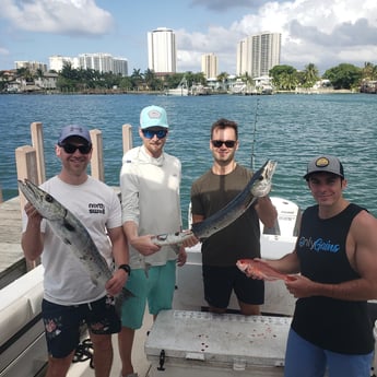 Barracuda fishing in Riviera Beach , Florida