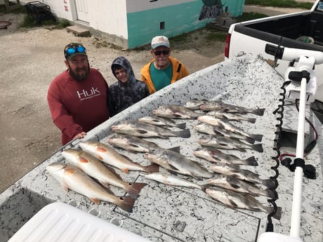 Black Drum, Redfish Fishing in Rockport, Texas