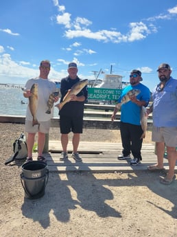 Black Drum, Redfish Fishing in Rockport, Texas