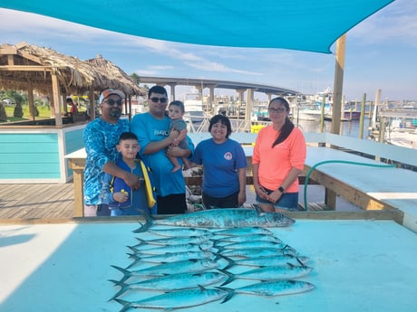 King Mackerel / Kingfish, Spanish Mackerel fishing in Orange Beach, Alabama