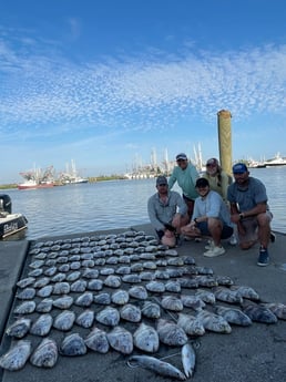 Sheepshead, Speckled Trout / Spotted Seatrout fishing in Venice, Louisiana