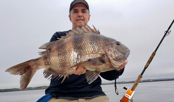 Sheepshead Fishing in