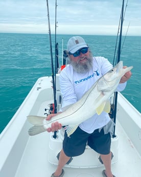 Snook fishing in Key West, Florida