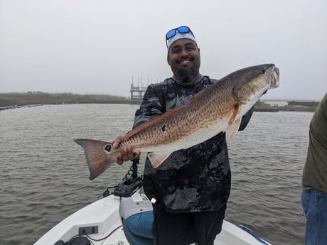 Redfish Fishing in Sulphur, Louisiana