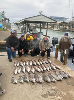 Black Drum, Redfish Fishing in Rockport, Texas