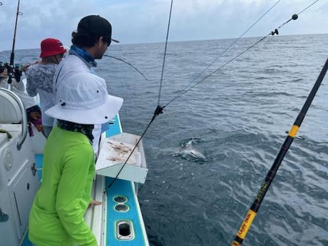 Blacktip Shark Fishing in Daytona Beach, Florida