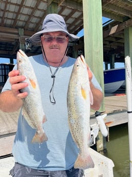 Speckled Trout Fishing in Galveston, Texas