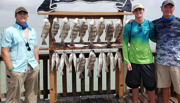 Black Drum, Speckled Trout / Spotted Seatrout fishing in Port Isabel, Texas