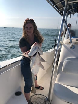 Black Drum fishing in Galveston, Texas