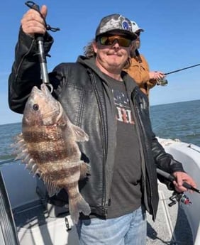 Sheepshead Fishing in Galveston, Texas