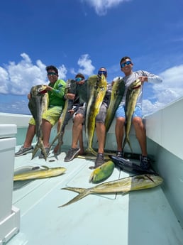 Mahi Mahi / Dorado fishing in Key Largo, Florida