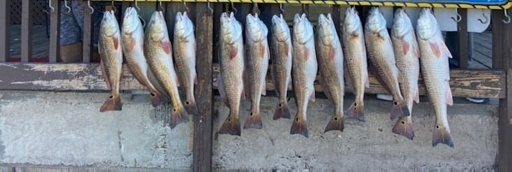 Redfish fishing in Aransas Pass, Texas