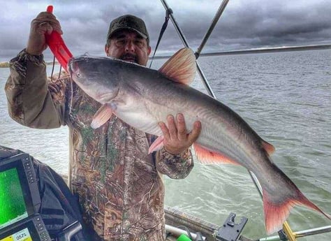 Blue Catfish Fishing in Dallas, Texas