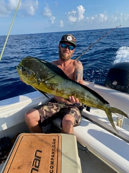 Mahi Mahi / Dorado fishing in Pensacola, Florida