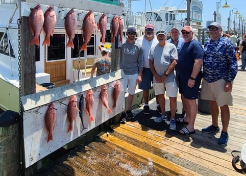 False Albacore, Red Snapper Fishing in Destin, Florida