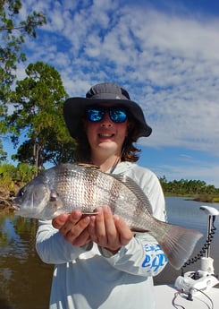 Black Drum fishing in St. Augustine, Florida