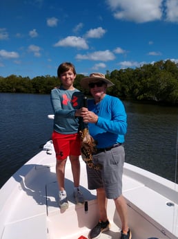 Snook fishing in Naples, Florida